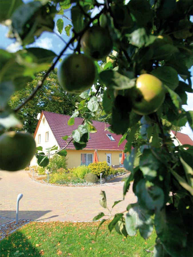 Schoelzke'S Ferienhaus Ralswiek Εξωτερικό φωτογραφία